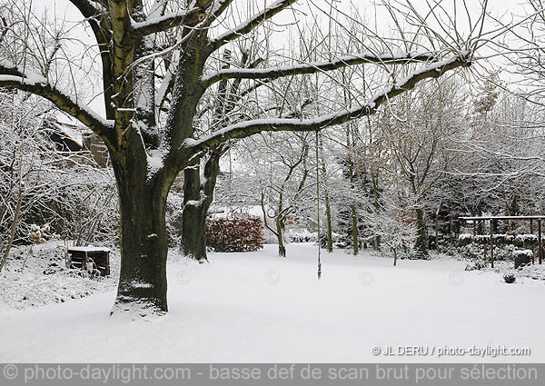 jardin sous la neige